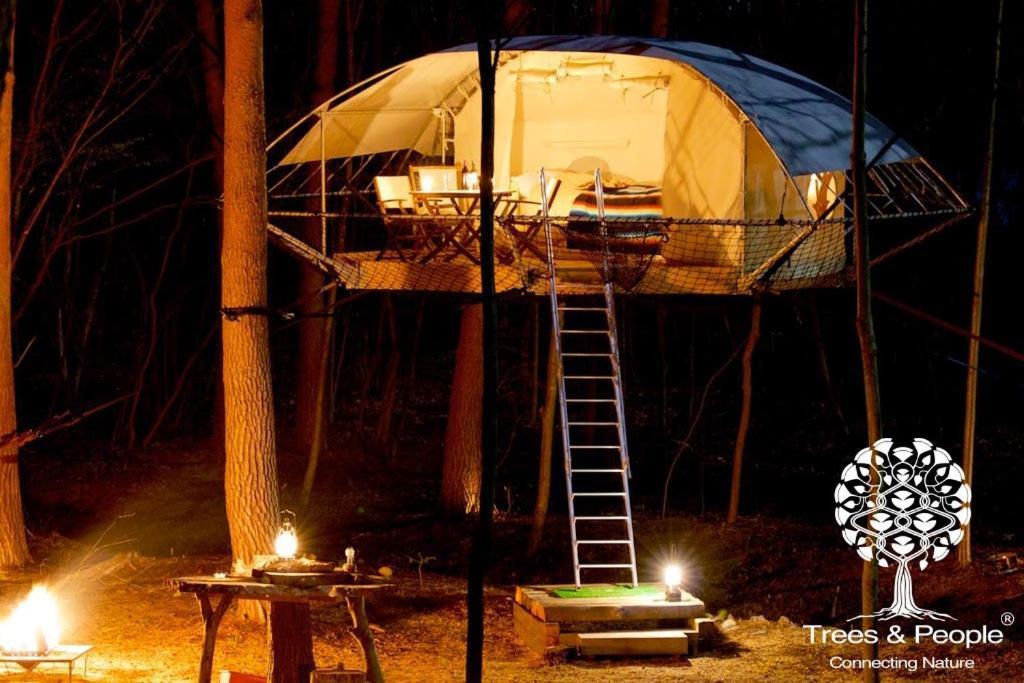 Ardennes Insolites Campsite